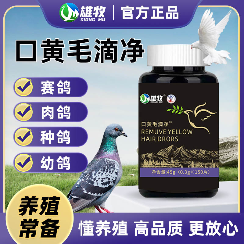 鸽药正品口黄毛滴净赛鸽信鸽毛滴虫口腔净白点禽呼吸道鸽子专用药