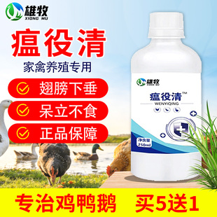 维牧正品瘟疫清鸡鸭鹅养殖专用药250ml 厂家直销金银花饲料添加剂
