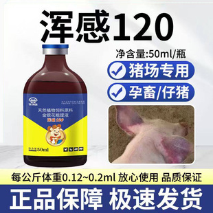 混感120雄牧正品猪用孕畜可用发热猪瘟流感高热蓝耳圆环皮肤紫红