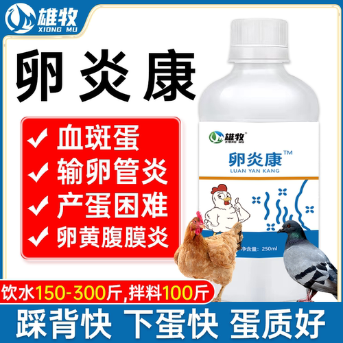 鸽子卵炎康雄牧禽用鸡鸭鹅家禽输卵管炎症消炎蛋禽卵巢炎细菌感染