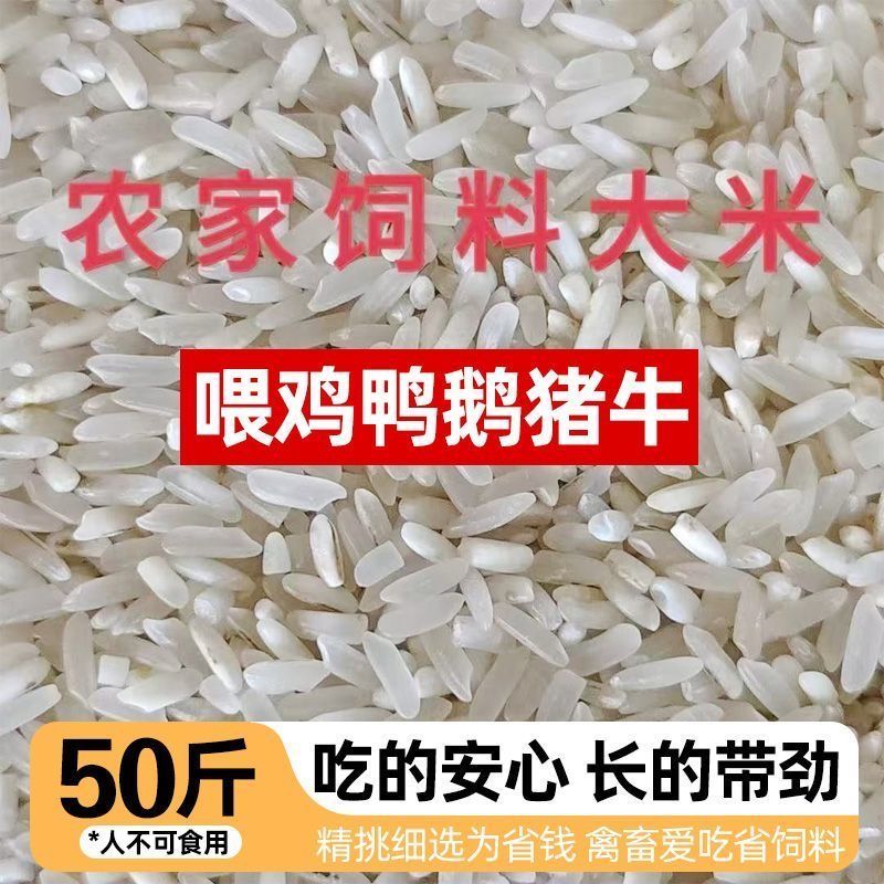 2026年优质粗粮饲料大米50斤特价喂鸡鸭鹅鸽子饲料喂鸟食鸽粮便宜