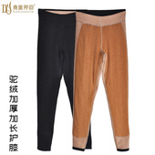 打底裤 过冬修身 驼绒大护膝3736 女加厚加绒一体冬季 典雅神韵保暖裤