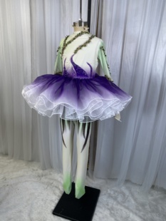 第十二届小荷风采风铃子舞蹈服装变装演出服儿童蓬蓬纱裙