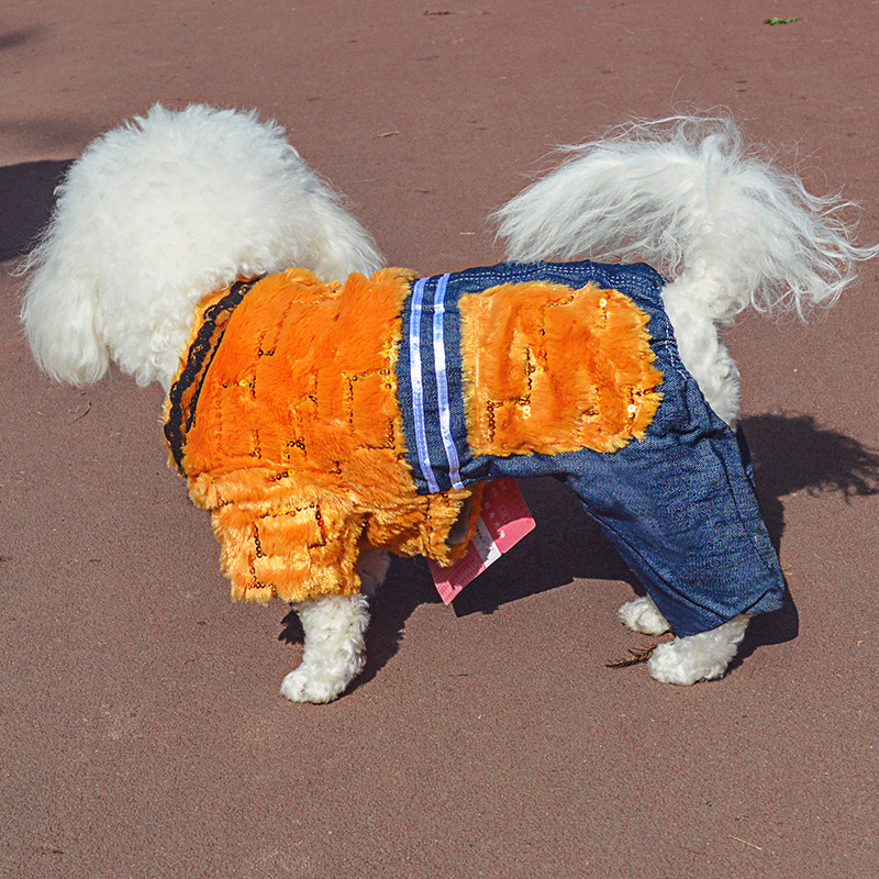 狗狗衣服泰迪衣服宠物衣服小狗衣服秋冬比熊博美犬宠物变身装包邮-封面