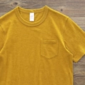 Daffodil Yellow
