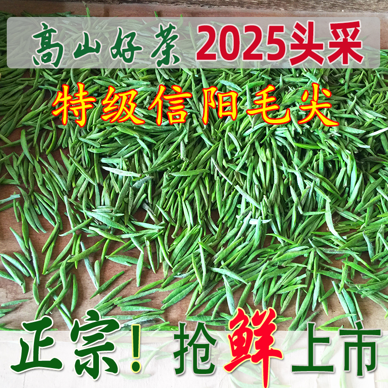 信阳毛尖2025新茶明前茶叶高山绿茶特级嫩芽自产自销散装春茶