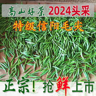 信阳毛尖2024新茶明前茶叶高山绿茶特级嫩芽自产自销散装春茶
