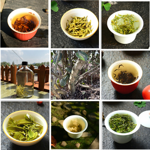 蒙顶山茶试喝装满5款包邮高山茶