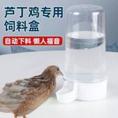 芦丁鸡喂食器鹌鹑网红鸡鸟小雏鸡食盒水槽水壶自动饮水器下饲料盒