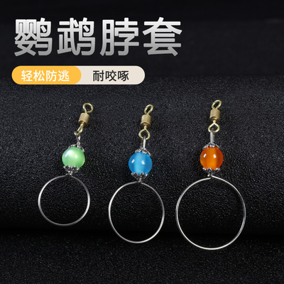 牡丹玄凤鹦鹉虎皮鹦鹉八哥专用不锈钢脖圈脖套训鸟活扣鸟链