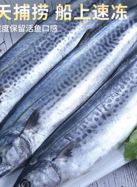 新鲜青岛大鲅鱼燕鲅鱼鲜活冷冻马鲛鱼大马交鱼海捕整条海鲜水产