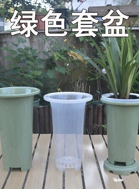 兰花专用盆塑料盆加厚兰花花盆透气排水兰草盆，透明盆，绿色盆