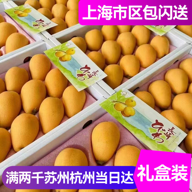 日本引进品种长崎温室枇杷鲜嫩多汁精品高端礼盒装上海市区包闪送
