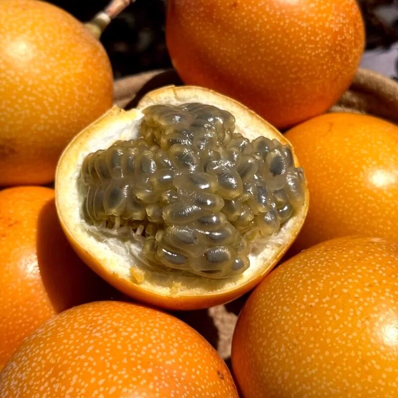 热情果黄金百香果2.5斤礼盒装香甜稀有上海市区包闪送