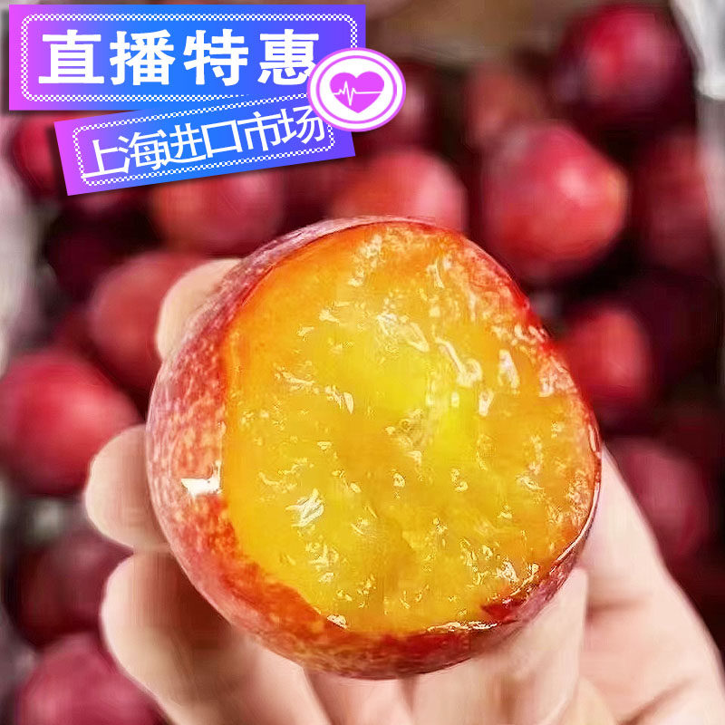 智利进口5J樱桃李新鲜上市当季水果 李子脆甜爆汁 上海市区包闪送,水产肉类/新鲜蔬果/熟食,李子,淘宝优惠券,粉丝福利购,淘宝优惠卷