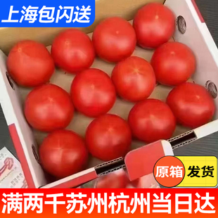 日本引进品种 静冈高糖番茄西红柿 奢豪高端礼盒 上海市区包闪送