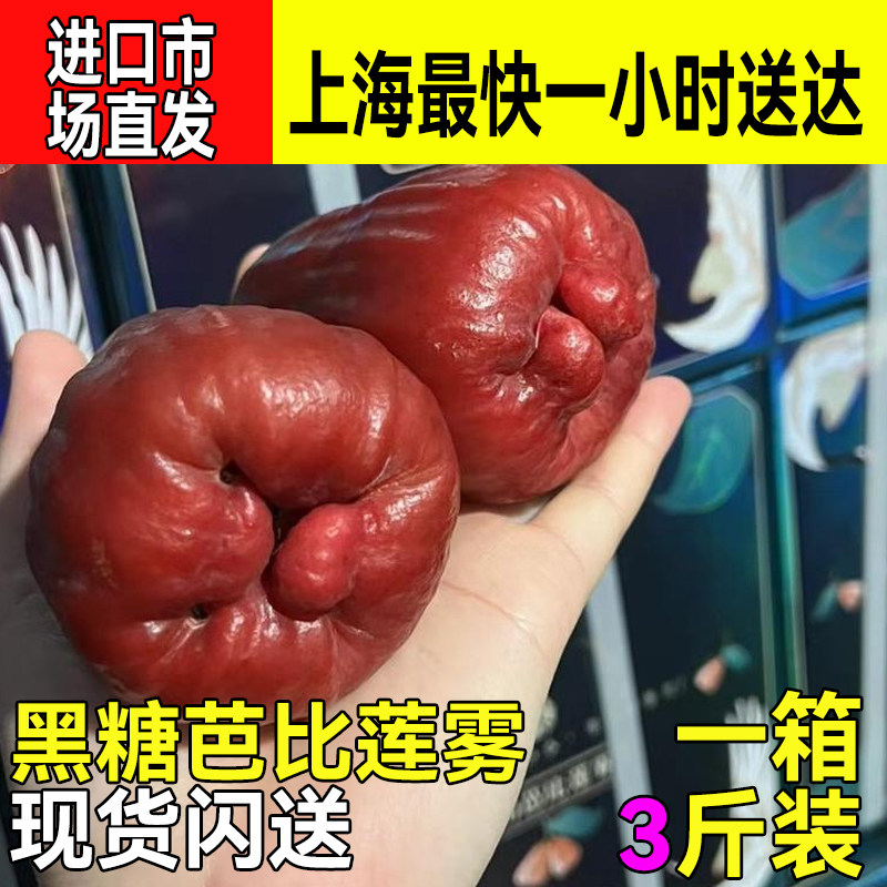 现货黑糖芭比莲雾礼盒3斤装新鲜应季水果汁多味甜顺丰 上海闪送