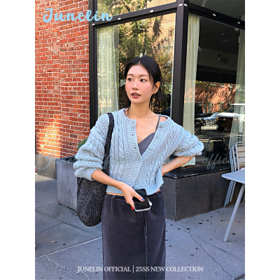六月林 韩国博主同款蓝色麻花针织毛衣外套复古小众通勤松弛感女