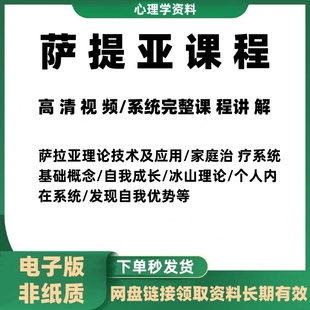 萨提亚课程系统完整版冰山理论自我成长家庭心理合集