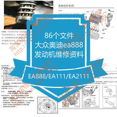 大众奥迪ea888发动机维修资料通道号数据流EA211数据原厂EA111结