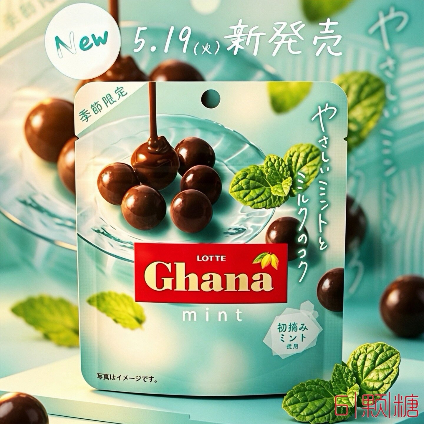 夏季限定薄巧零食日本进口LOTTE乐天Ghana爽脆薄荷夹心黑巧克力球