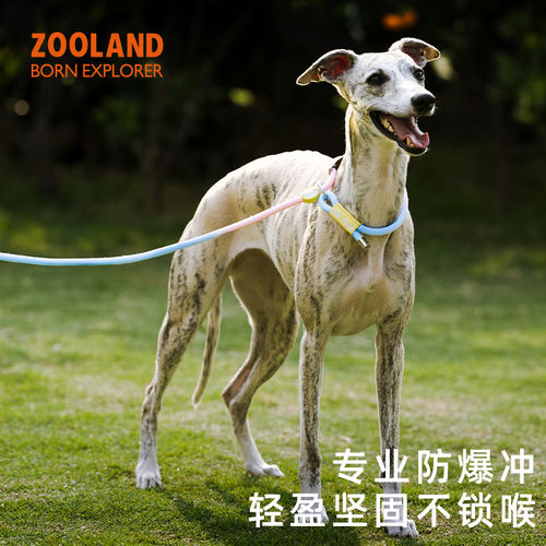 zooland牵引P绳防爆冲可调节训练