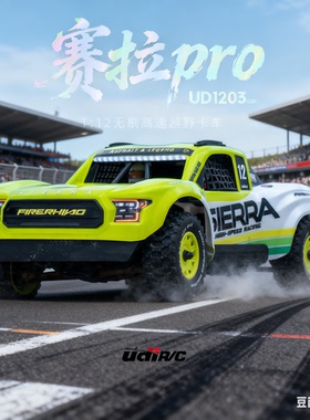 优迪UD1203赛拉PRO 1/12无刷遥控电动四驱沙漠卡越野车短卡RC模型