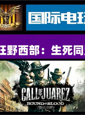 Steam PC正版游戏 Call of Juarez Bound in Blood 全球key激活