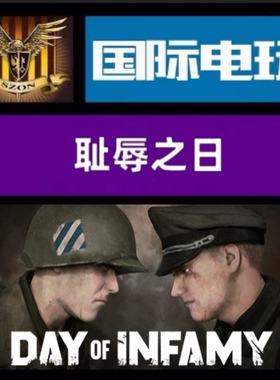 Steam PC正版游戏 全球key 耻辱之日 Day of Infamy 激活码