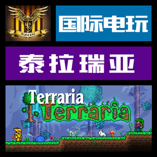 Steam PC正版游戏 泰拉瑞亚 Terraria 序列号 全球版key激活