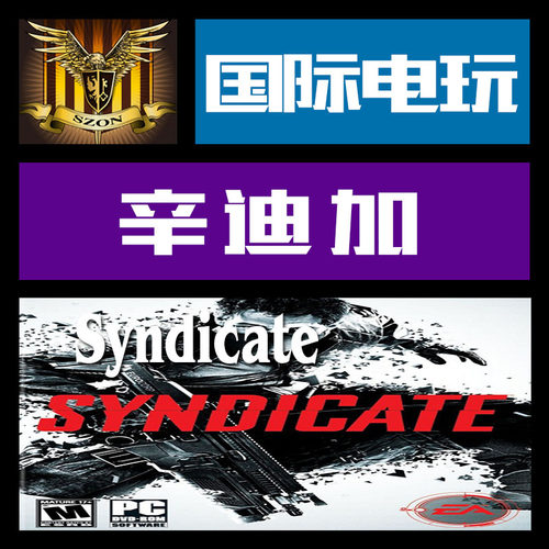 Origin PC正版游戏 CDkey 激活 辛迪加 Syndicate 序列号