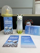 功能卡布料面料春夏季 新疆超柔棉棉吊牌吸柔软湿弹力轻量亲肤清新