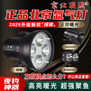 北京京北顶点大华锂业2025新款 搏鲫H6000H9000氙气钓鱼灯黑坑鲫鱼
