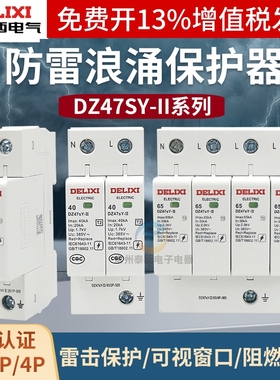 德力西DZ47SY浪涌保护器1p电源电涌CDY防雷击家用2P/4P避雷器385V