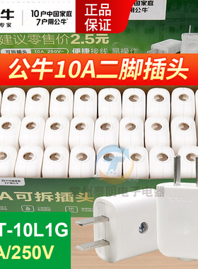 公牛10A电源纯铜国标扁二插头二脚新款单相二极2孔家用10L1G正品
