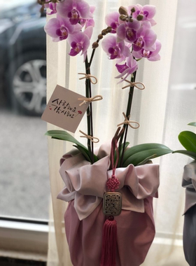 礼品包布 送礼包装 韩国进口双层石垃泊150cm7+34H-P10934