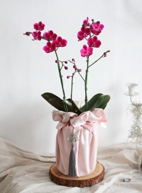 礼品包布 送礼包装 韩国进口双层石垃泊110cm31+64号H-P10996