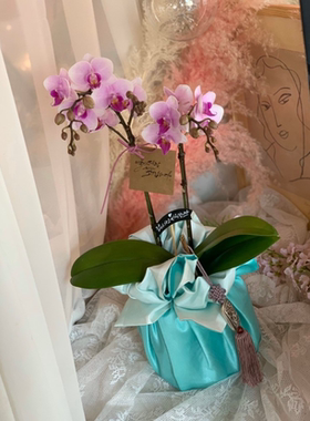 礼品包布 送礼包装 韩国进口双层石垃泊150cm号H-P10917