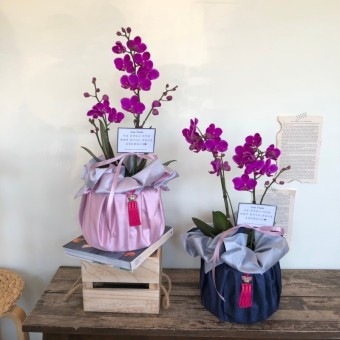 礼品包布 送礼包装 韩国进口双层石垃泊150cm号h-p10998