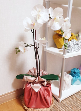 礼品包布 送礼包装 韩国进口双层石垃泊150cm3+20号H-P10907