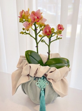 礼品包布 送礼包装 韩国进口双层石垃泊150cm12+19号H-P10894