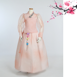 朝鲜族平时穿 生活韩服肉粉色泡纱上衣和新满天星3层裙子S24025