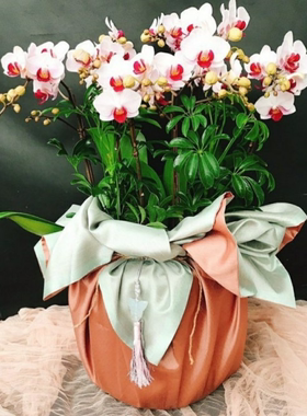 礼品包布 送礼包装 韩国进口双层石垃泊150cm9+11号H-P10880