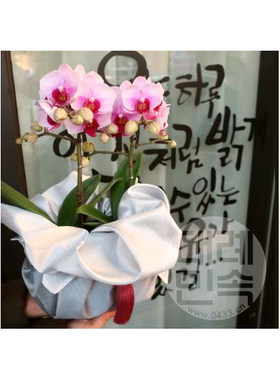 礼品包布 送礼包装 双层石垃泊（150cm18+20）H-P03437