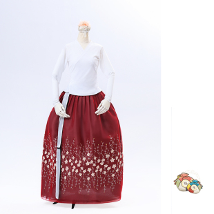 朝鲜族舞蹈上衣和腰裙长袖 传统民族风舞台飘逸梅花绣练功裙25024