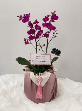 礼品包布 送礼包装 韩国进口双层石垃泊150cm号H-P10876