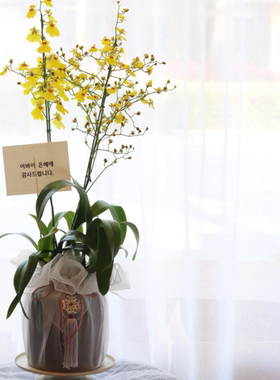 礼品包布 送礼包装 韩国进口单层砖石纱31号H-P11095