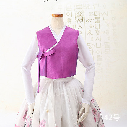 舞蹈练习上衣上配的马夹练功服韩服马夹双层做工精致