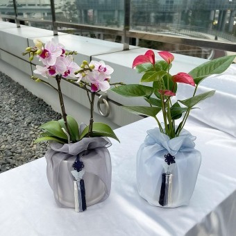 礼品包布送礼包装韩国