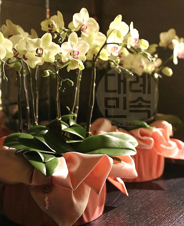 礼品包布 送礼包装 双层石垃泊布料(150cm35 36)h-p03738